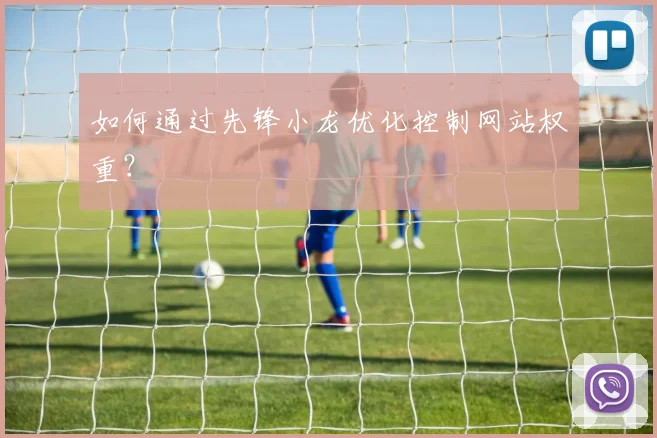 如何通过先锋小龙优化控制网站权重？