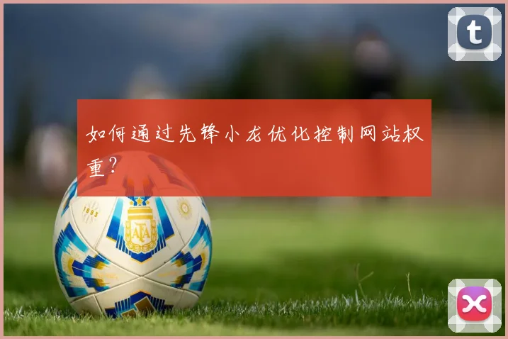 如何通过先锋小龙优化控制网站权重？