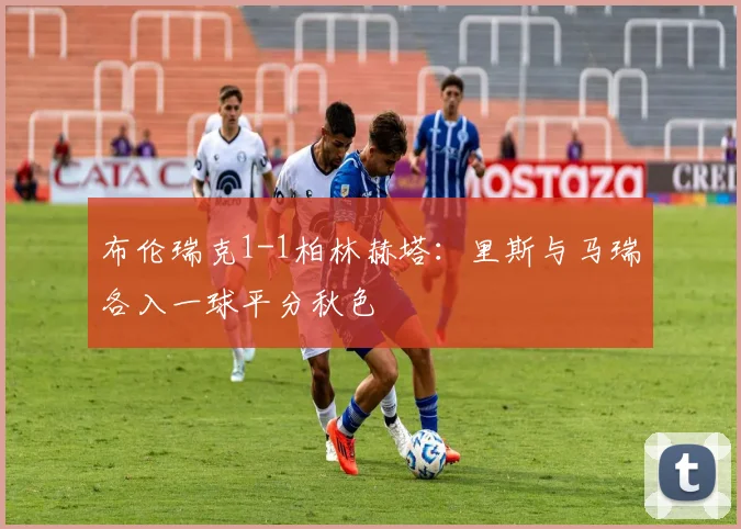 布伦瑞克1-1柏林赫塔：里斯与马瑞各入一球平分秋色
