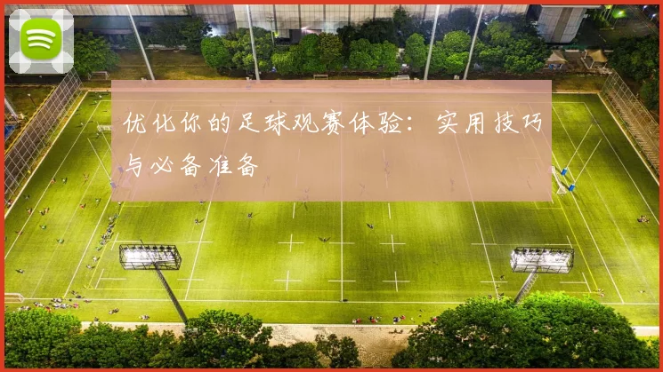 优化你的足球观赛体验：实用技巧与必备准备
